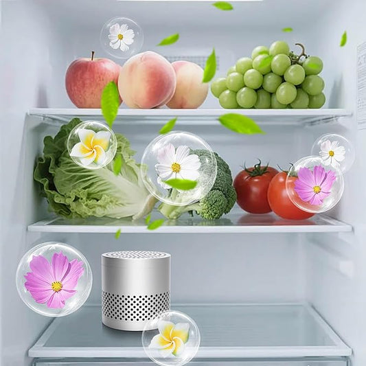 Refrigerator Deodorizer Odor Eliminator, Long-Lasting Fragrance for 10 Years, Far More Useful Than Baking, Superior to Baking Soda & Bamboo Charcoal, Suitable for Deodorizing Refrigerators (Silver)