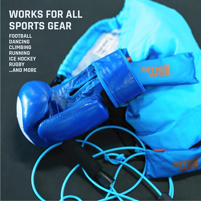 SmellWell - Scented Shoe Deodorizer Inserts - Odor Eliminators - Activated Bamboo Charcoal + Minerals - Natural Fresheners for shoes, bags, gloves - 2 x 1.8oz Original Size Pink Zebra