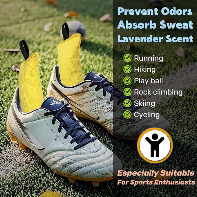 2 X 170g Shoe Deodorizer - Reusable Odor Eliminator Air Freshener Smell Remover Odor Absorber Deodorant for Shoe, Sneaker, Boxing Glove, Closet, Gym Bags - With Zeolite, Desiccant, Baking Soda
