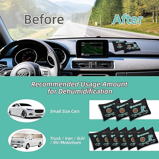 100g x 2pcs Reusable Desiccant Packs for Storage, Color Indicating Silica Gel Packets Moisture Absorbers with Visible Window, Rechargeable Dehumidifier Bags for Gun Safe Car Closet Basement