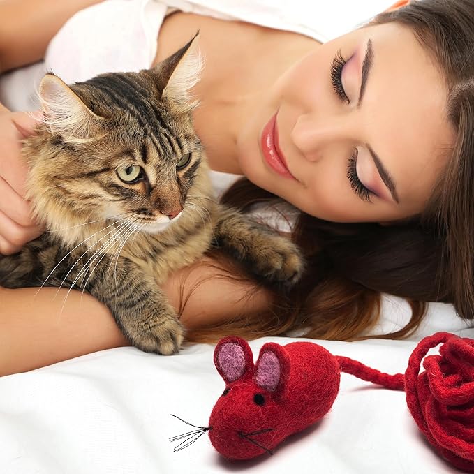 Glaciart One Felt Mouse Cat Toy – Soft Fuzzy Enrichment 100% Natural Wool - Interactive Catnip Play Cat Toy Set - Safe for Pets, Non-AZO Colored Dyes - 100” Long
