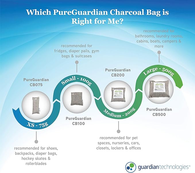 PureGuardian CB075 Bamboo Charcoal Air Purifying Bags, Eco-Friendly, Naturally Absorbs Odors, Excess Moisture and Pollutants, 2-pack - 75g each, Gray