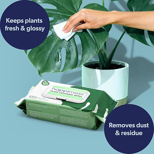 happimess WPE1000A Plant Cleaning Wipes, Gently Cleans & Shines Houseplant Leaves, Dust Remover with Aloe Vera, Shea Butter & Chamomile, 100 Count