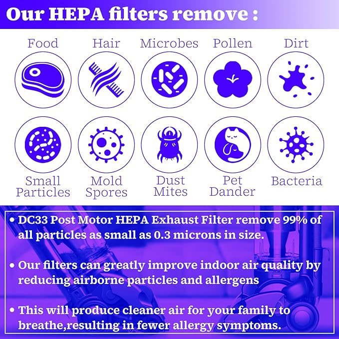 HASMX DC33 Post Motor HEPA Exhaust Filter Replacement for Dyson DC33 Upright Vacuum Cleaners, Replaces Part Numbers: 921616-01, 92161601 Round (1-Pack)