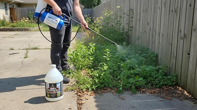 Belle Chemical 50% Pure Concentrated Vinegar – 12.5x Stronger – Indoor and Outdoor Cleaner (1 Gallon)