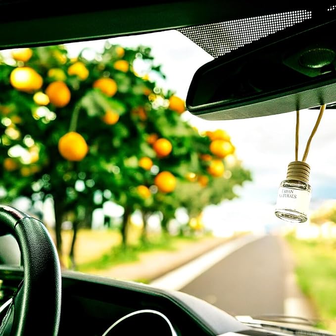 Urban Naturals Car Air Freshener Diffuser 3 Pack - Citrus Bliss Scent, 45+ Days Long Lasting Fragrance, Made in USA, Glass & Wood, Hanging Design + Vent Cip, Easy to Use