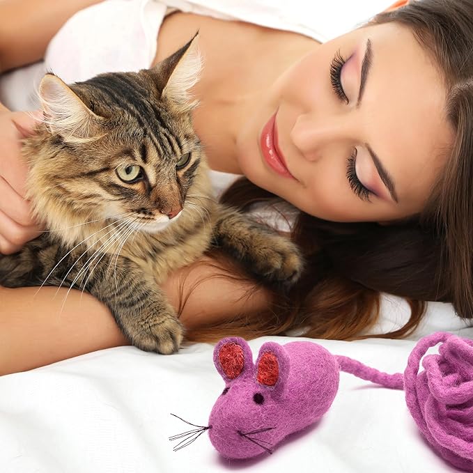 Glaciart One Felt Mouse Cat Toy – Soft Fuzzy Enrichment 100% Natural Wool - Interactive Catnip Play Cat Toy Set - Safe for Pets, Non-AZO Colored Dyes - 100” Long