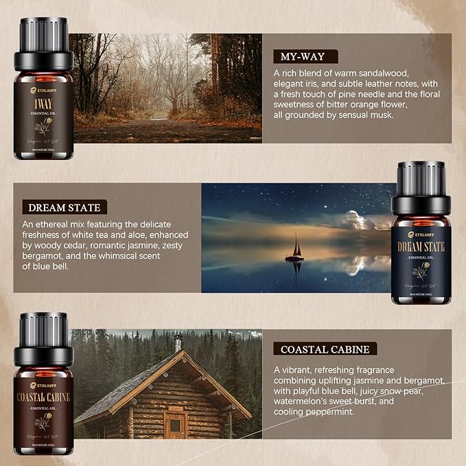 Hotel Diffuser Oils, Hotel Collection Diffuser Oil, Luxury Essential Oil for Diffuser, Soap & Candle Making Scents - 1 Way, Dream State, Coastal Cabine, Gloden Magic