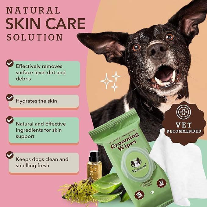 Natural Dog Company XL Grooming Wipes for Dogs – Hypoallergenic, Biodegradable, Fragrance Free – Aloe Vera & Witch Hazel – 7×8 Wipes for Paws, Face, Ears & Butt – Sensitive Skin Pet Wipes - 50 Count