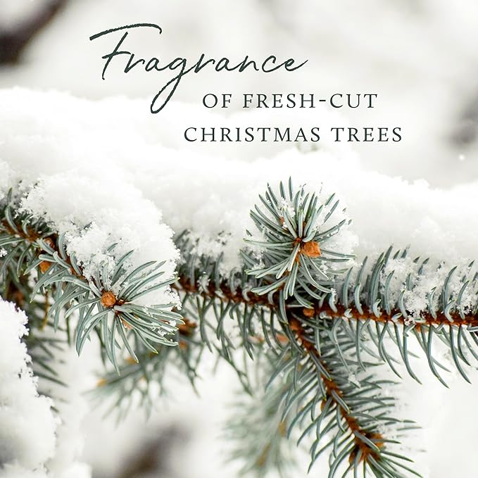 Thymes Frasier Fir All-Purpose Cleaning Wipes – Multi-Purpose Cleaning Wipes – Safe for Countertops, Walls, and Other Non-Porous Surfaces – Cruelty Free Surface Wipes (2 Pack of 48 Wipes)