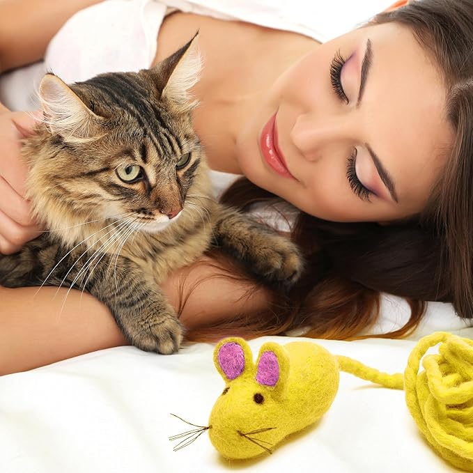 Glaciart One Felt Mouse Cat Toy – Soft Fuzzy Enrichment 100% Natural Wool - Interactive Catnip Play Cat Toy Set - Safe for Pets, Non-AZO Colored Dyes - 100” Long