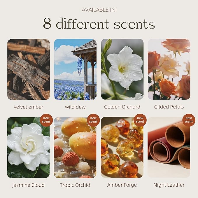 Car Air Freshener Wood 3 Pack — Refillable Solid Diffuser, North American Alder Scent, Leather Visor Clips — No Liquid Odor Eliminator for Cars, Trucks, SUVs