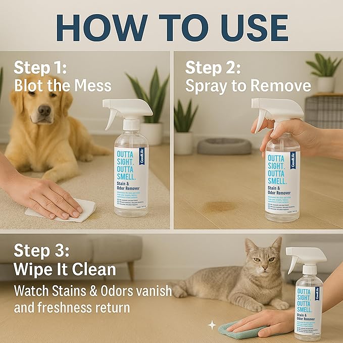 Natural Odor and Stain Remover Spray - Unscented Plant-Based Child & Pet Safe Cleaner Earth-Friendly Odor Eliminator Eco Cleaning Products for Home, Carpet (1 Pack, 1 Gallon)