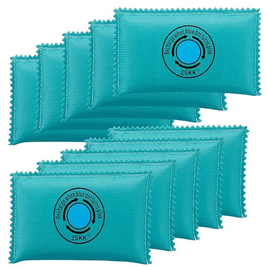 100g Rechargeable Desiccant Pack of 10,Silica Gel Desiccant Packets,Moisture Absorbers for Storage Bins, Suitcase, Gun Safe, 3D Filaments, Electronics,Desiccant Dehumidifier for Closets,Cars