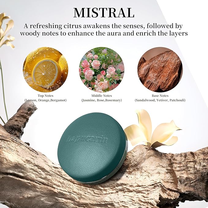 Car Air Freshener Vent Clip Fragrance Long Lasting Auto Odor Eliminator - Made with Natural Plant Extracts - Green Leather Diffuser with 2 Pieces Mistral Scent Refills