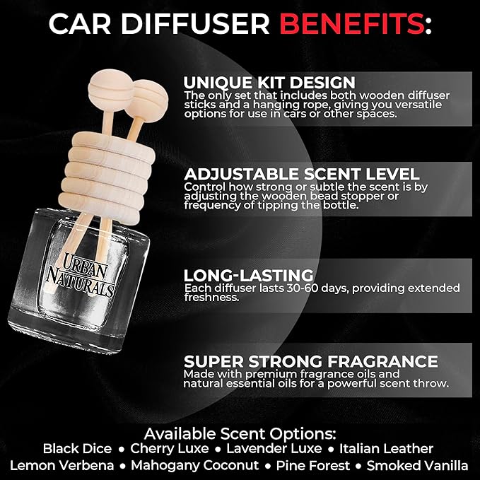 Black Dice Hanging Car Air Freshener and Essential Oil Diffusers with Vent Clips - 25-Pack Automobile Aromatherapy Diffuser Bottles - Kit Ideal for Resale, Gifts & Party Favors