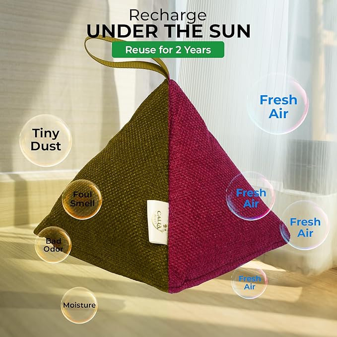 4 Pack Bamboo Charcoal Air Purifier Bags 200 Grams Each - Activated Charcoal Odor Absorber for Car, Pets & Closet - Natural Freshener for Home, Eco-Friendly & Reusable Charcoal Bags (Fall Colors)