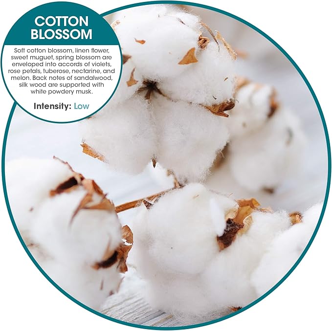 Fresh Products Eco Bowl Clip 2.0 Toilet Bowl Air Freshener, Cotton Blossom Scent, 4 Clips