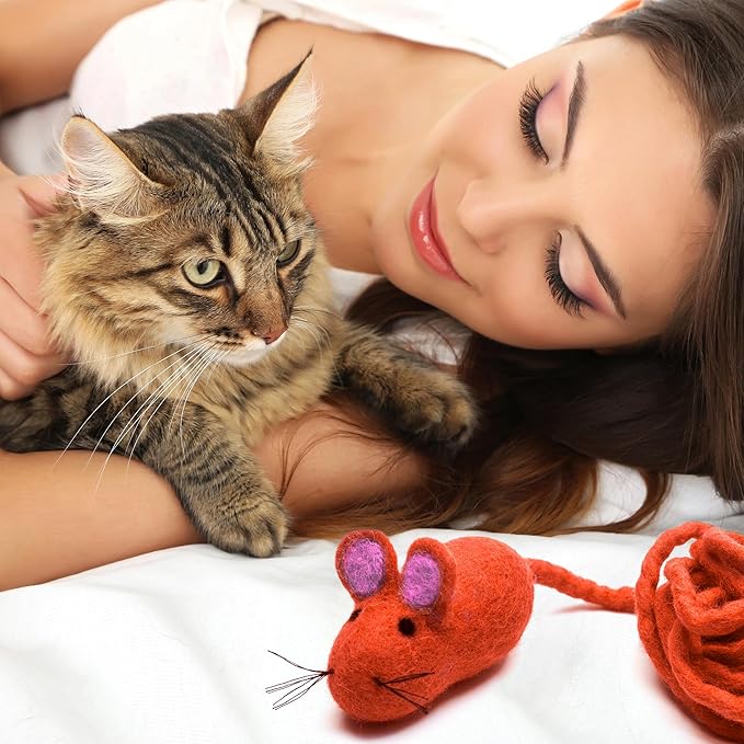 Glaciart One Felt Mouse Cat Toy – Soft Fuzzy Enrichment 100% Natural Wool - Interactive Catnip Play Cat Toy Set - Safe for Pets, Non-AZO Colored Dyes - 100” Long