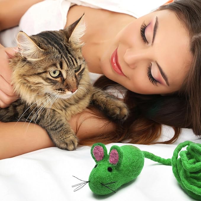 Glaciart One Felt Mouse Cat Toy – Soft Fuzzy Enrichment 100% Natural Wool - Interactive Catnip Play Cat Toy Set - Safe for Pets, Non-AZO Colored Dyes - 100” Long