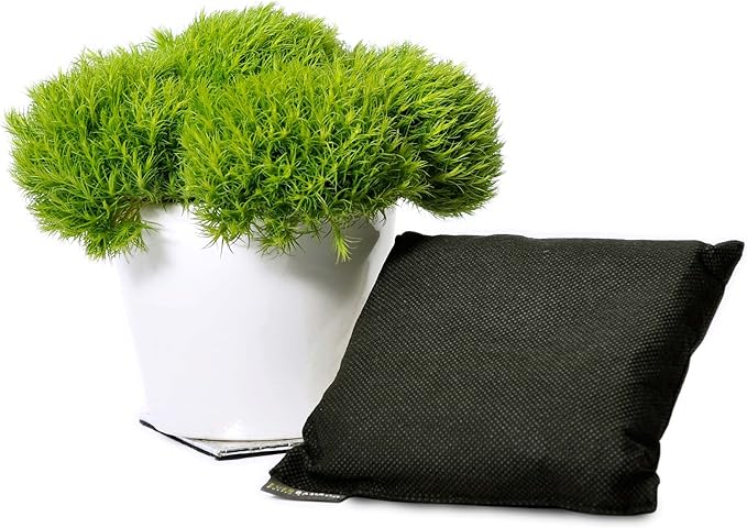 Ever Bamboo Room Deodorizer & Dehumidifier w/ Natural Bamboo Charcoal (200g)