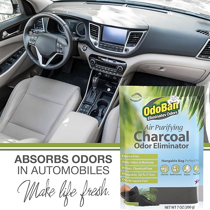 OdoBan Air Purifying Charcoal Natural Odor Eliminator, Non-Toxic Formula, Made in the USA, Fragrance Free, 6-Pack, 200 Grams Each