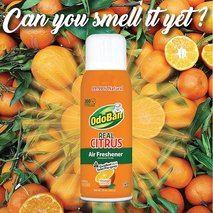 OdoBan Aroma Eliminator, 360-Degree Continuous Spray Natural Oil Real Citrus Air Freshener, Toilet Spray, 6-Pack, 10 Ounces Each, Orange Scent