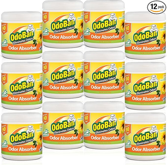 OdoBan Solid Odor Absorber Eliminator for Home and Small Spaces, Citrus Scent, 14 Ounces Each, 12-Pack