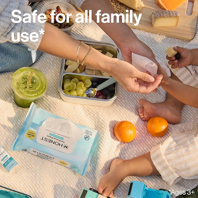 The Honest Company Fragrance-Free Sanitizing Alcohol Wipes, Antibacterial Safe for Hands, Kills 99% of Germs, Made With Aloe, 50 Count (1 Pack)