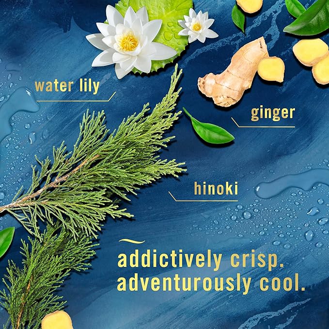 Febreze Air Mist Air Freshener Spray, Odor-Fighting Room Spray, Air Fresheners for Home and Bathroom and Kitchen, Aerosol Can, Ocean Scent, 8.8oz (Pack of 3)
